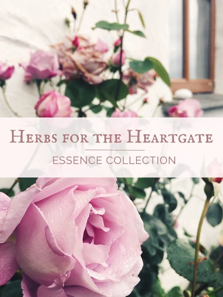 Herbs for the Heartgate Essence Collection