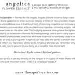 OWA_INFO_CARD_Angelica