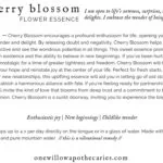 OWA_INFO_CARD_Cherry-Blossom