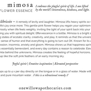 OWA_INFO_CARD_Mimosa