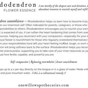 OWA_INFO_CARD_Rhododendron