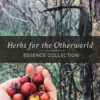 Herbs for the Otherworld Essence Collection