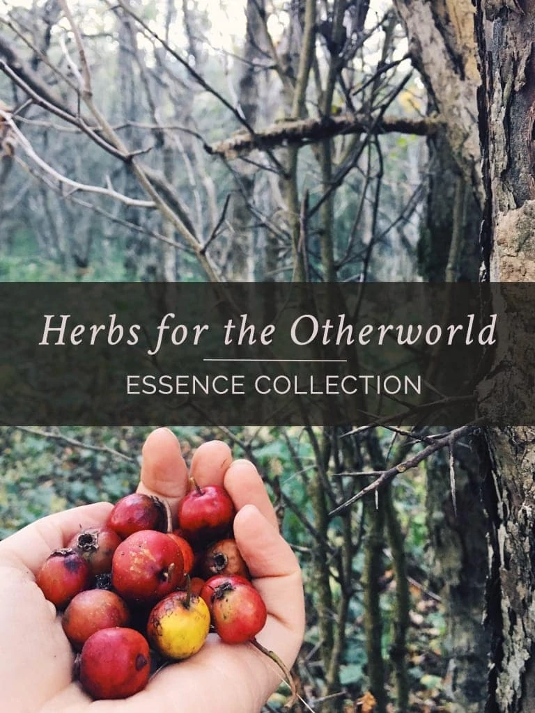 Herbs for the Otherworld Essence Collection