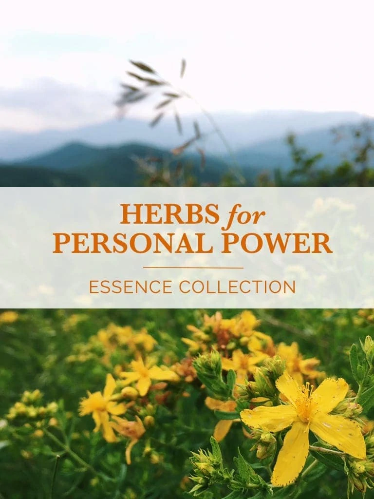 Herbs for Personal Power Essence Collection