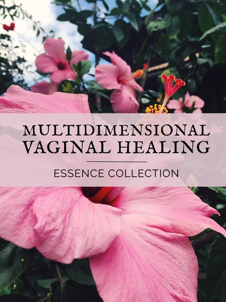 Multidimensional Vaginal Healing Essence Collection