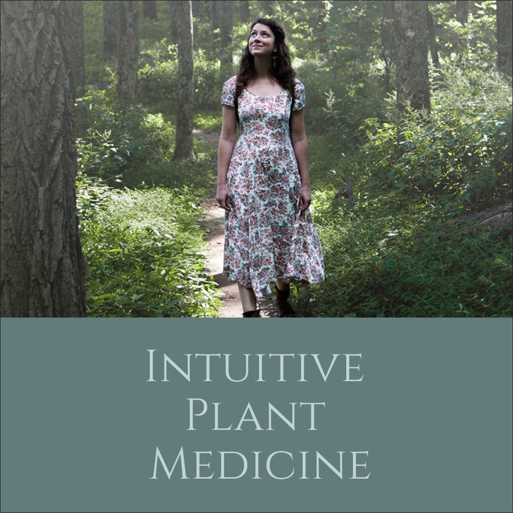 Intuitive Plant Medicine