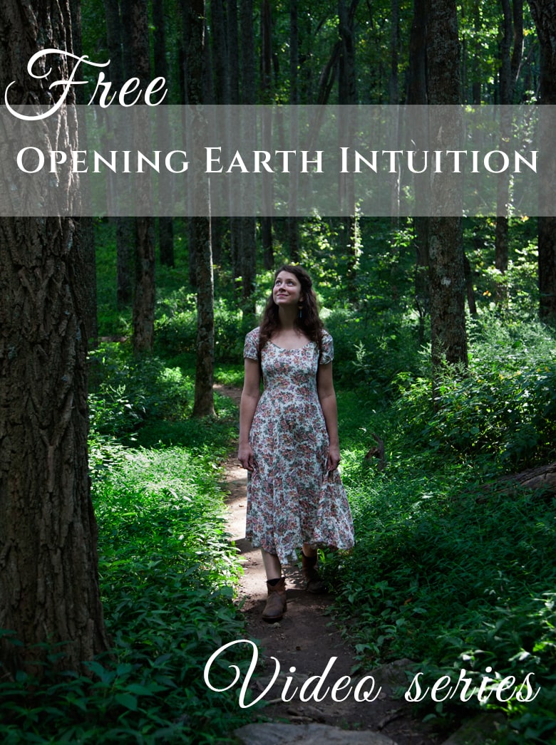 Opening Earth Intuition